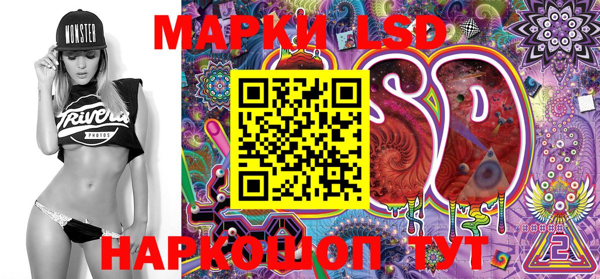 где можно купить наркотик  Наркотические марки 1,8мг  Вход с VPN  Элиста 