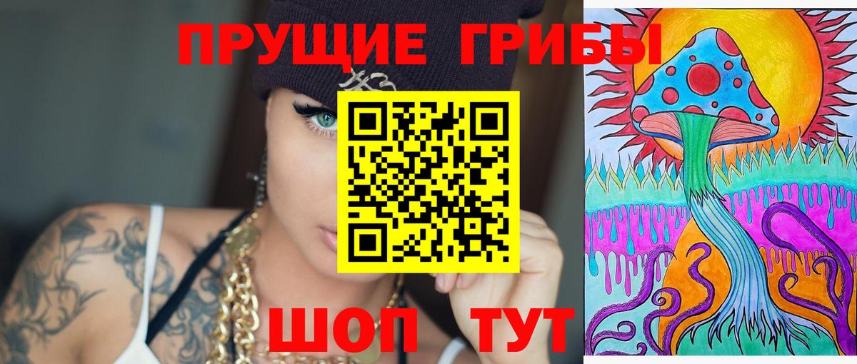 Галлюциногенные грибы Cubensis Элиста