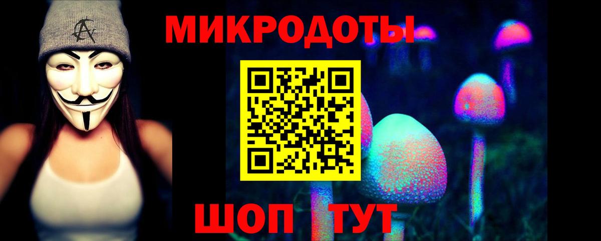 Элиста  Псилоцибиновые грибы Magic Shrooms  Вход с VPN  Галлюциногенные грибы Cubensis 